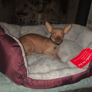 Meet your Posher, Katrina